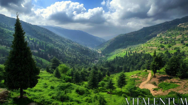 Sunlit mountain valley wrapped in deep green forest calm.