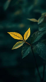 Golden leaf trio glows against forest teal hush backdrop.