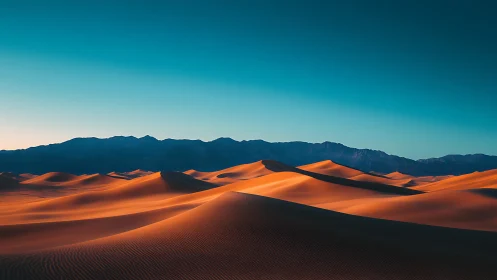 Sunlit desert dunes roll beneath a deep blue twilight sky.