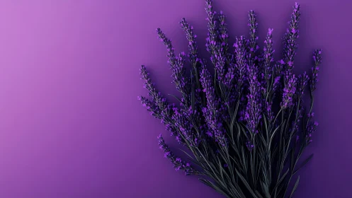 Lavender Bouquet Against Gradient Purple Background.