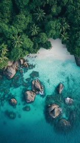 Tropical Paradise Revealed: Aerial View of Island Cove and Turquoise Waters