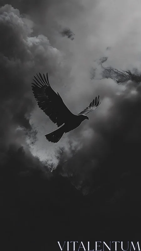High-contrast raptor silhouette traversing turbulent storm cloud field.