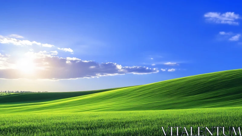 Sunlit green hillside under clear blue open sky.