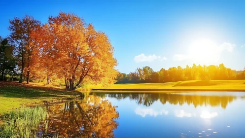 Golden autumn trees by a sunlit lakeside welcoming calm.