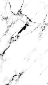 Minimal white marble texture evokes clean, modern luxury