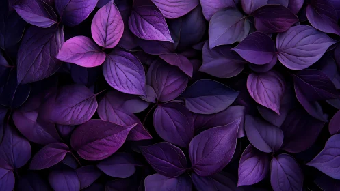 Dense violet foliage rendered with high contrast tonal mapping