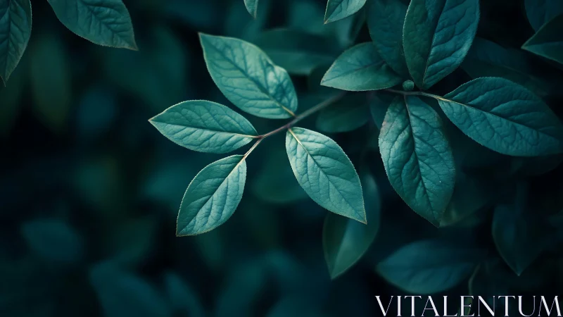 Moonlit leaves whisper in teal-tinted forest hush.