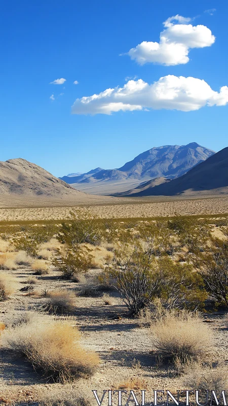 Cloud caravans drifting above sunlit desert mountainscape.