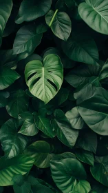 Heartleaf jungle tapestry where emerald shadows breathe softly.