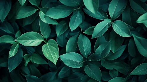 Digital botanical foliage study with layered leaf structure.