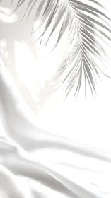 Palm leaf shadow falls softly across white draped fabric