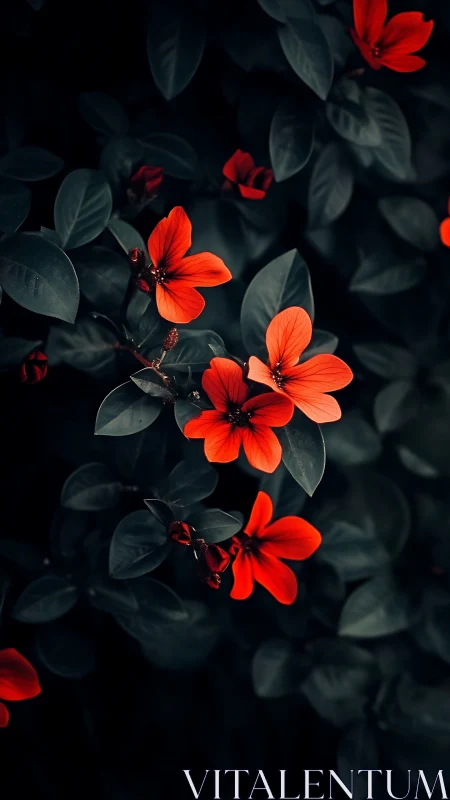 Vibrant Red Flowers Glow Against Dark Moody Foliage