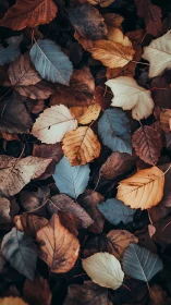 Softly fallen autumn leaves in muted blue and copper tones.