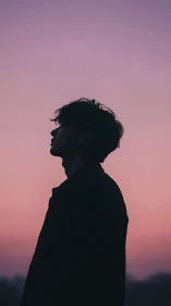 Silhouetted figure contemplates under soft violet sunset sky.