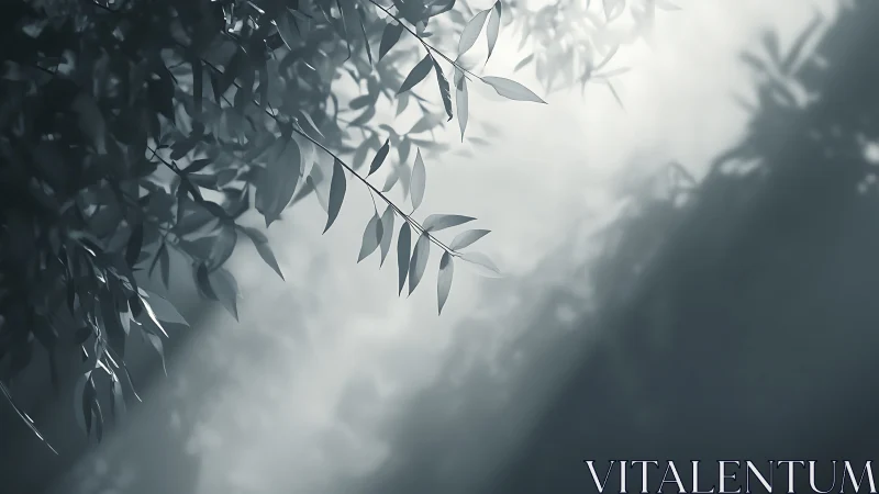 Tranquil Leaves in Soft Sunlight, Moody Monochrome Nature Scene.