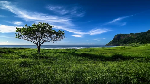 Solitary seaside tree welcomes calm waves and bright skies
