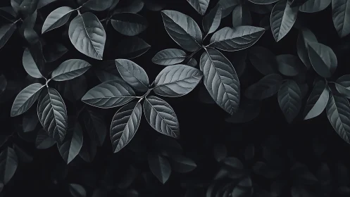 Midnight leaves whispering in charcoal moonlight hush.