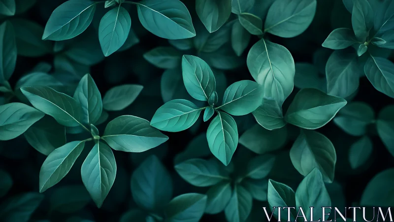 Gentle teal leaves creating a calm, soothing forest carpet.