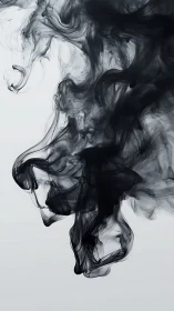 Monochrome fluid dynamics of curling black ink in suspension