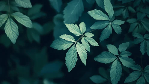 Midnight forest leaves trade whispers in soft teal hush