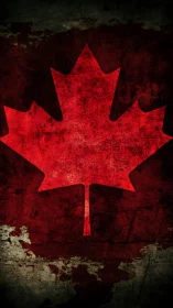 Bold red maple leaf stands strong on weathered dark ground