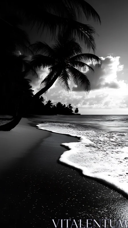 Monochrome palm trees along shoreline with incoming surf.