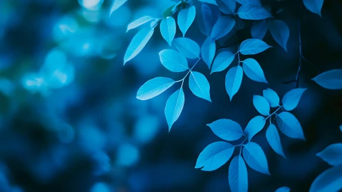 Blue-toned branch with sharply focused leaves dominates frame