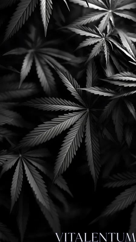 Cannabis leaves form dense overlapping pattern in low light