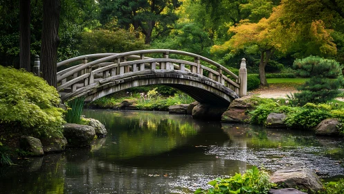 Wooden arched bridge over pond in lush green garden.