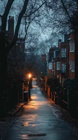 Rain-soaked residential alley under bare winter trees.