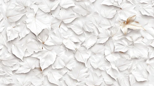 Quiet albino leaves cradle one golden whisper of autumn.