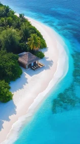 Tropical Paradise: Your Private Beach Sanctuary Awaits.