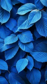 Electric blue foliage fills the frame in layered harmony.