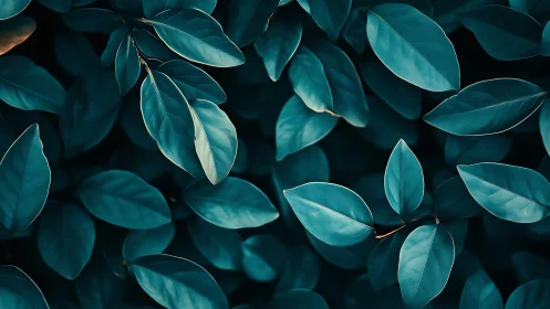 Teal foliage fills the frame in calm, minimal pattern.
