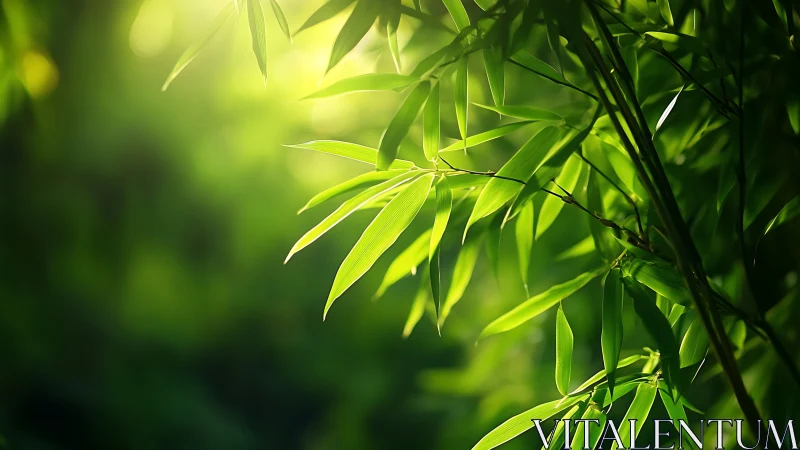 Sunlit bamboo leaves whisper in a luminous emerald hush.
