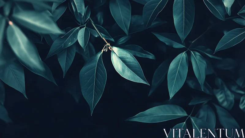 Moody dark green leaves in artistic nature photography style.