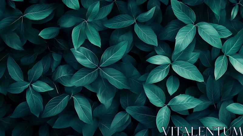 Dense overlapping teal green foliage in uniform arrangement.