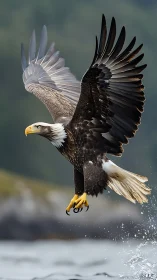 Photorealistic bald eagle in dynamic coastal flight composition.