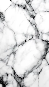 High-key marble texture with linear veining composition.
