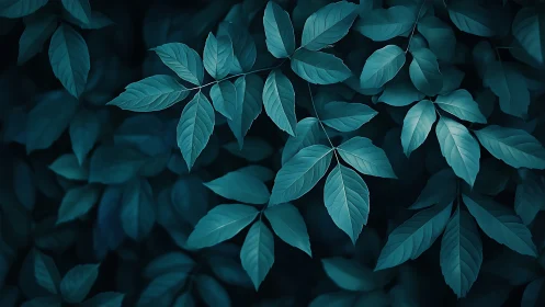 Cyan-toned compound foliage in low-key optical focus field.