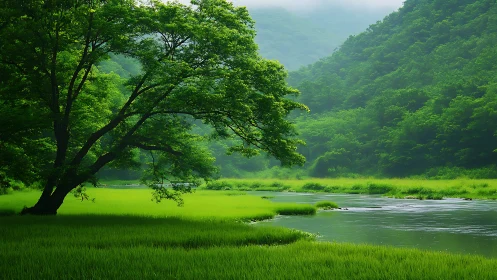 Leaned-over river guardian under a hush of emerald fog.