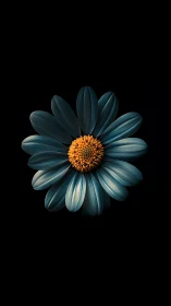 Deep Blue Daisy with Golden Heart.