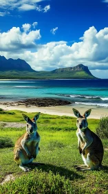 Kangaroos gaze over emerald coast beneath towering clouds.