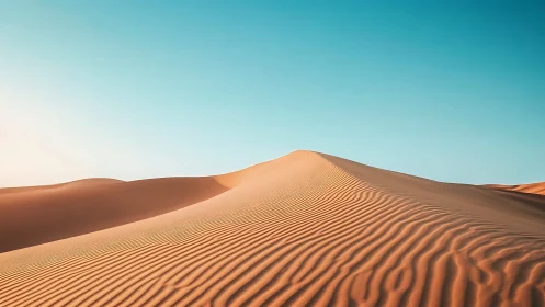 Golden desert dune quietly curves beneath a soft blue sky