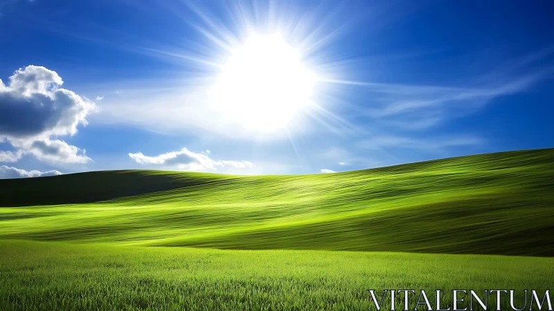 High-contrast sunlit grassland under deep cobalt sky