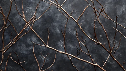 Bare tree branches against dark textured background, minimal style.
