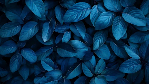 Midnight sapphire foliage weaving a dreamy botanical tapestry.