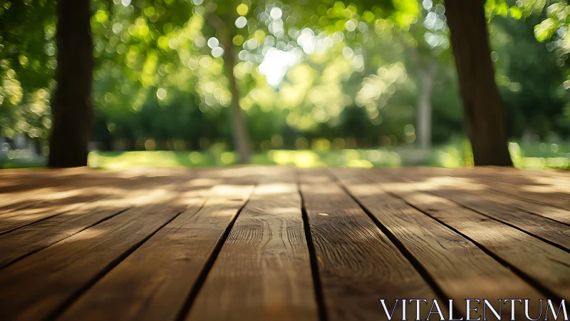 Sunlit wooden deck surface under shallow depth of field bokeh