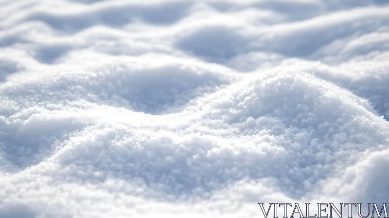 Soft Sunlit Snowy Surface with Gentle Natural Texture.
