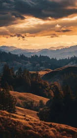 Golden hour light over rolling forested hills at dusk.